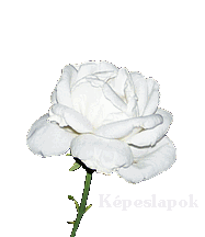 Képeslapküldõ hezekiah.hu